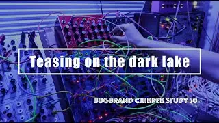 Bugbrand Chirper Study 30 / Teasing on the dark lake (Chirper, DRM2, Microcosm, Mood MKII)