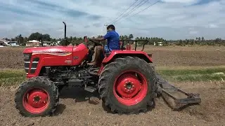 Mahindra yuvo tech plus 585 4wd tractor goes to 3par cultivator plough in cotton land