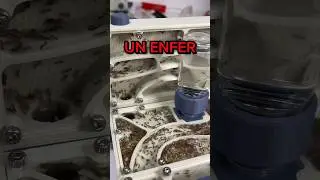 &Eacute;VASION SUR &Eacute;VASION chez mes fourmis ! (Partie 1)