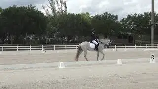 USDF third level test 1 04/22/23
