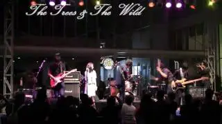 The Trees & The Wild - Verdure ( Live at TeraskotaBSD 1st Anniversary )