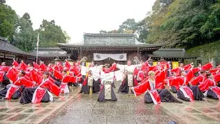 [4K] 京炎 そでふれ！Tacchi　龍馬よさこい 2025 日曜日 龍馬演舞場（京都霊山護国神社）
