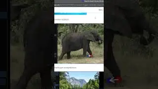 Next gen AI image manipulation