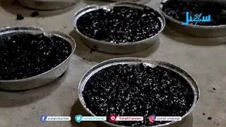 البخور العدني ..  رائحة الحياة