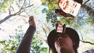 Music Festival Camping - Remedy Tree Vlog - Will Mclean Music Festival