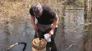 Restoration Program helps citizen scientists explore local wildlife