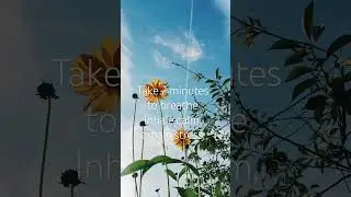If you love peaceful, calming content like this, don&rsquo;t forget to subscribe