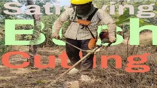 Satisfying Bush Cutting &ndash; Watch This Transformation!