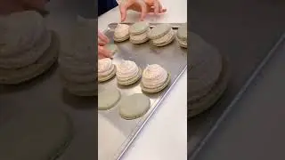 Making 6 flavors of fatcarons with me!