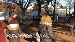 Brooklyn Dog Park
