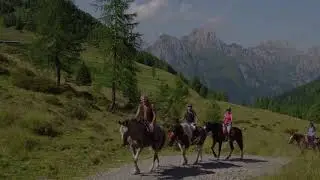Escursioni a cavalli a Sauris