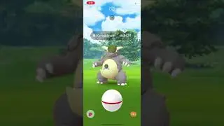 EXTREMELY RARE SHINY REGIONAL ✨ RARE POK&Eacute;MON
