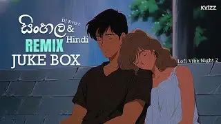 Sinhala & Hindi Remix JukeBox | DJ Kvizz | Lofi Vibe Night 2 | New Sinhala DJ Nonstop
