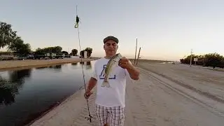 DAD vs SON BASS COMPETITION