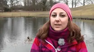 Ungbo 12 - Kirseberg