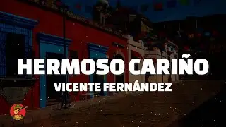 HERMOSO CARI&Ntilde;O - Vicente Fern&aacute;ndez (Letra)