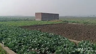 Bairiya plot for sale! Plot_for_ sale_patna! Residential_plot_for_sale! property_in_patna 9241957033