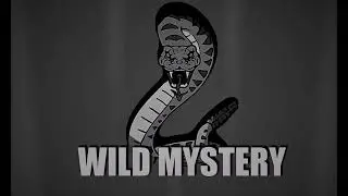 Wild Mystery - Sicksquad (Melodic Hardstyle)