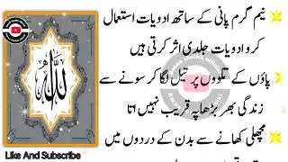 Quotes About life/ dahi k faidy/ healthy lifestyle \ motivational quotes about Life/ Rumi quotes