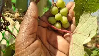 Long video.. how is it. .....