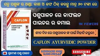 କାଫଲନ ପାଉଡର- ଶୀତ ଦିନେ ପଶୁଙ୍କ ଥଣ୍ଡା, କାଶ, କଫ କୁ ଦୁର କରନ୍ତୁ ମାତ୍ର ୬୦ ଟଙ୍କା ରେ
