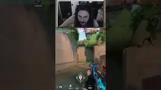 the guardian is THE BEST eco weapon | theebraybray on twitch