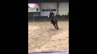 Canando S springen