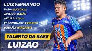 LUIZ FERNANDO ATACANTE
