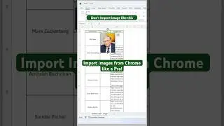 Mastering Excel's IMAGE Function: Import Images from Chrome Like a Pro! #excelshorts #ytshorts
