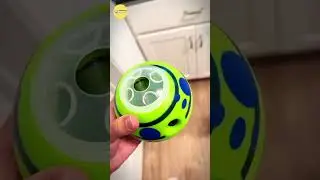 This dog toy is perfect for highly active dogs like mine😂