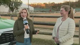 Barn Night at the Washington International Horse Show | ECO9