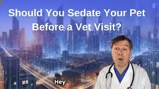 Should You Sedate Your Pet Before a Vet Visit?