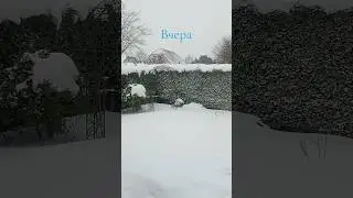 Сегодня и вчера