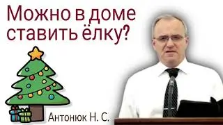 Можно в доме ставить ёлку?  Антонюк Н. С.