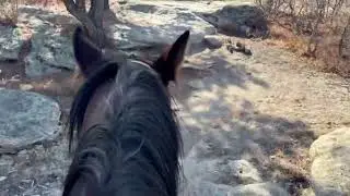 Beautiful Colorado Trail Ride