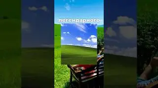 Как изменилось то самое ПОЛЕ с WINDOWS XP.
