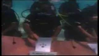 Raw: World's first underwater cabinet meet in Maldives