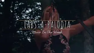 3 Fat Labs - Concert Series
