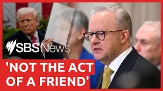 Albanese and Wong respond to Trump’s latest tariffs