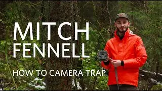 How to set up a camera trap