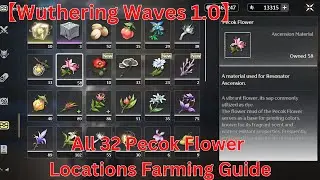Ascension Materials All 32 Pecok Flower Locations Farming Guide 【Wuthering Waves 1.0】