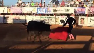 Lucida tarde toros en La Gloria, Texas