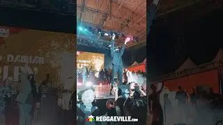 BIG SURPRISE GUEST: Damian 'Jr Gong' Marley @&nbsp;MARCIA GRIFFITHS & Friends in Jamaica 11/3/2024 🇯🇲