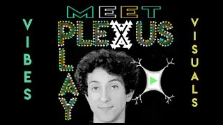 Vibes & Visuals - Meet Plexusplay