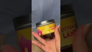 Universal Bundle From Park Scents