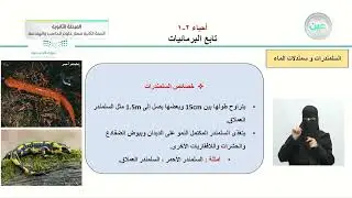 تابع درس 2-2 البرمائيات - الأحياء (2-1) - مسار علوم الحاسب والهندسة - السنة الثانية