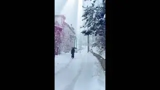  Winter symphony, snowfall and quiet nature, the magic of a winter landscape