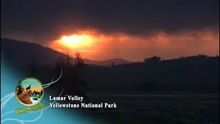 Greater Yellowstone Ecosystem - Interstitials