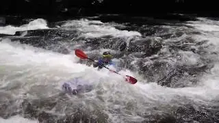 Tellico River Ducky Action!