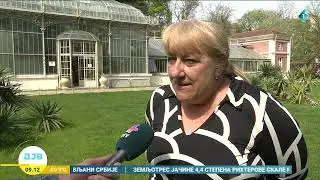 Botanička bašta 